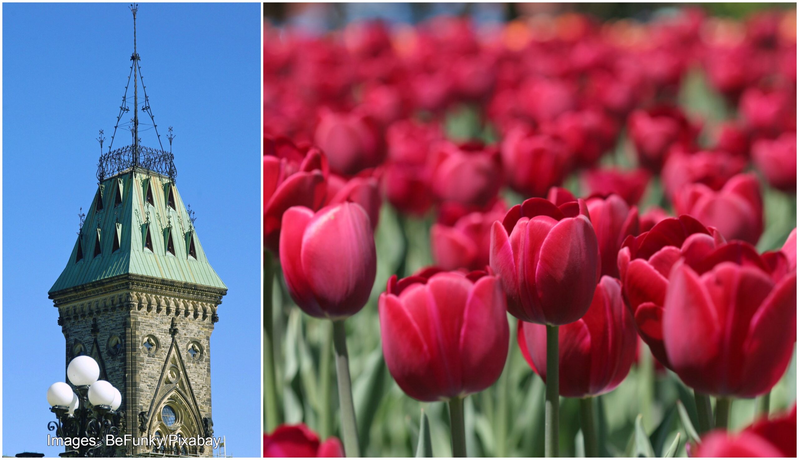 HAPPY BIRTHDAY CANADA!